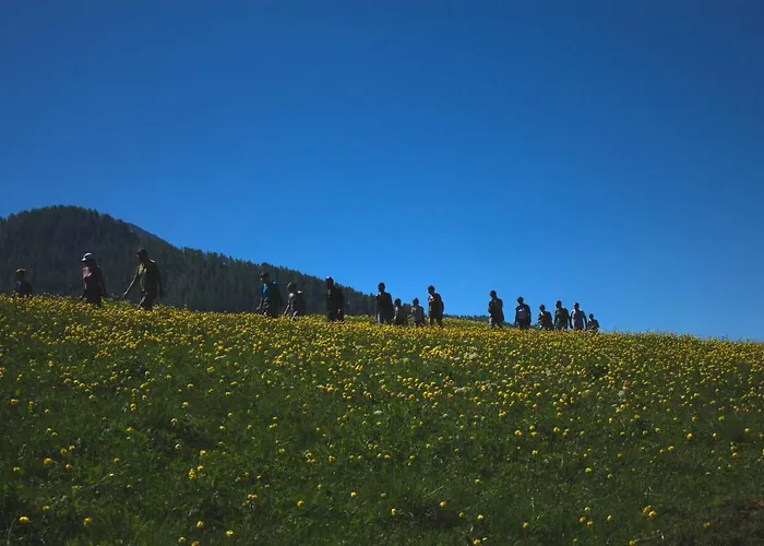 Rifugio Alpino L'ermitage * Chamois