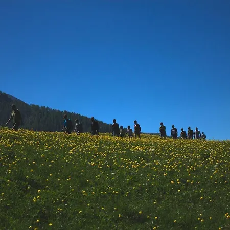 Rifugio Alpino L'ermitage * 沙穆瓦
